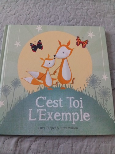 Französisches kinderbuch - französisches,